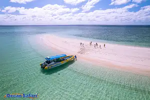 Daintree Delight Overnight Adventure | From Cairns