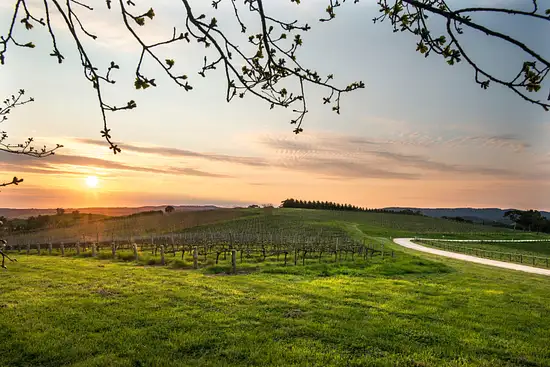 Clare Valley Three-Day Itinerary