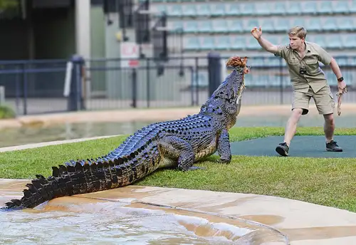 AUSTRALIA ZOO Transfer including Entry Ticket | Sunshine Coast