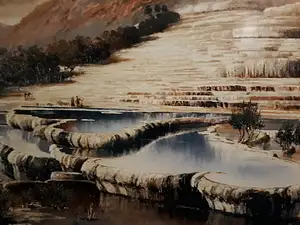 new zealand day tour