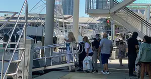 Miami Skyline South Beach 90min Millionaires Cruise & Hop On Hop Off Bus Tour Deals