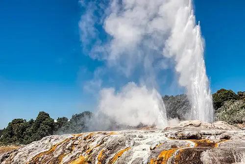 Rotorua & Te Puia Highlights Small Group Tour