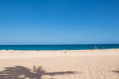 Oahu Sightseeing & Snorkel Tour