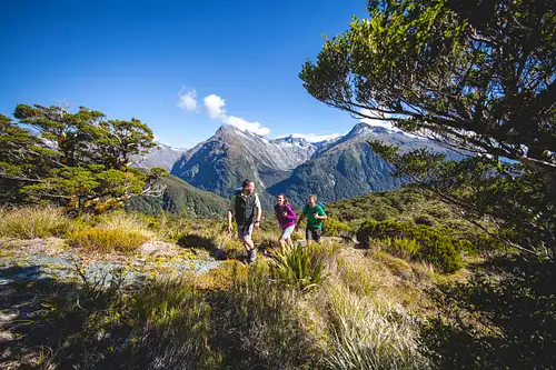 Routeburn track guided walk from Te Anau