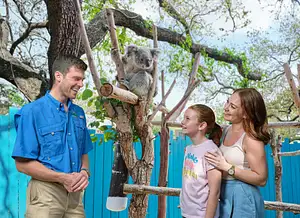 ZooTampa at Lowry Park Wildlife Experience Ticket