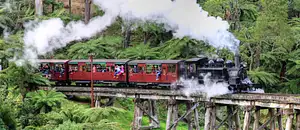 Puffing Billy And Healesville Sanctuary Scenic Bus Tour