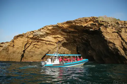 newcastle harbour & coast sightseeing cruise