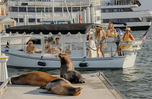 Private Electric Boat Sunset Experience LA