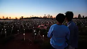 Uluru Sunrise & Field of Light