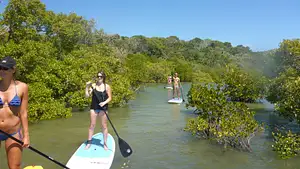 Turtle View SUP Tour | Rainbow Beach