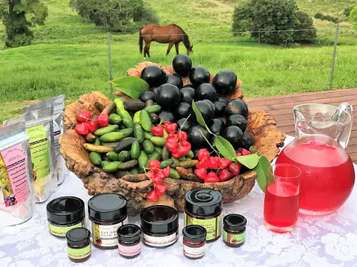 Outback Tasting Tour