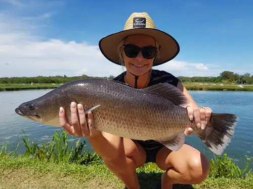 barramundi fishing farm