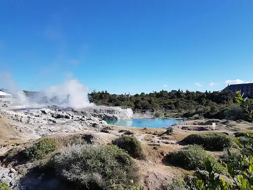 new zealand best tour
