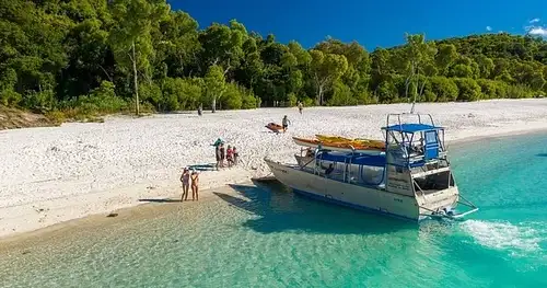 Return From Island Transfer