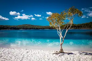 australia-lake-mckenzie-boorangoora.jpg