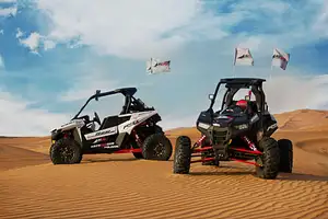 Half-day Dune Buggy Experience In Dubai