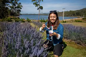 Port Arthur And Lavender Farm Tour