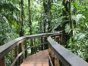 Cinco Ceibas + Adventure Park from San José